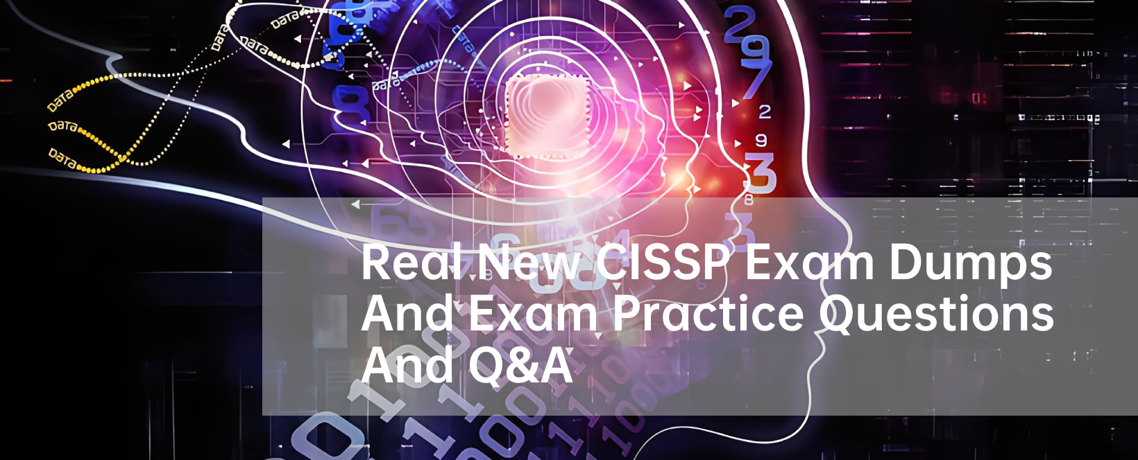 cissp exam questions 100 Free Real Exam Questions Answers Pass4itsure